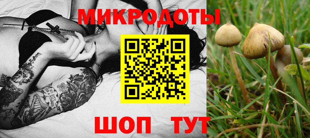 дарнет шоп  Вход с VPN  Нижнеудинск  Галлюциногенные грибы Magic Shrooms 